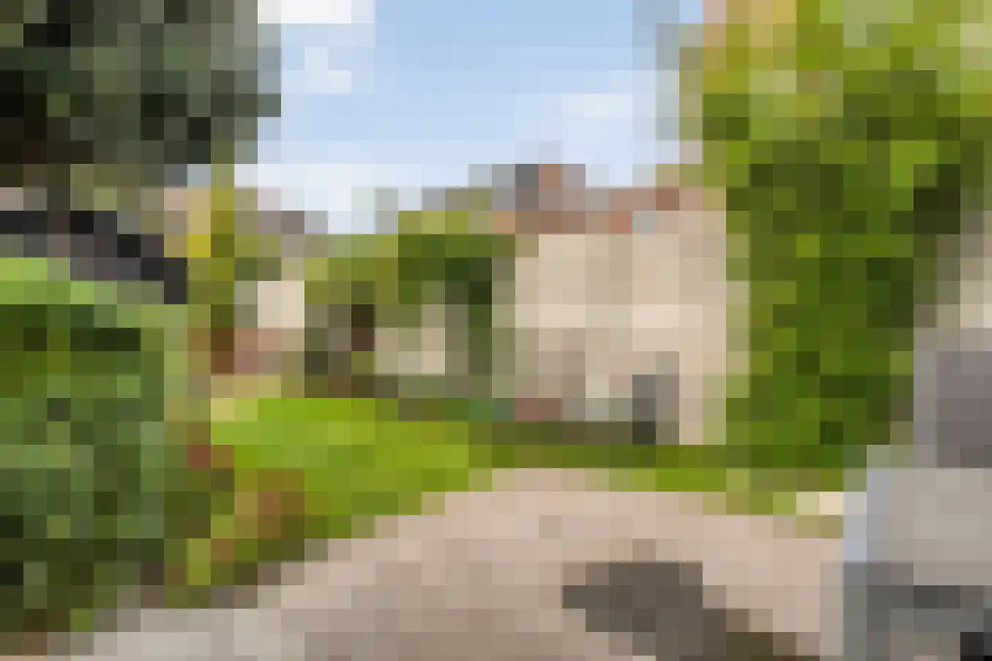 Rozenstraat 15 Zwolle thumbnail 32