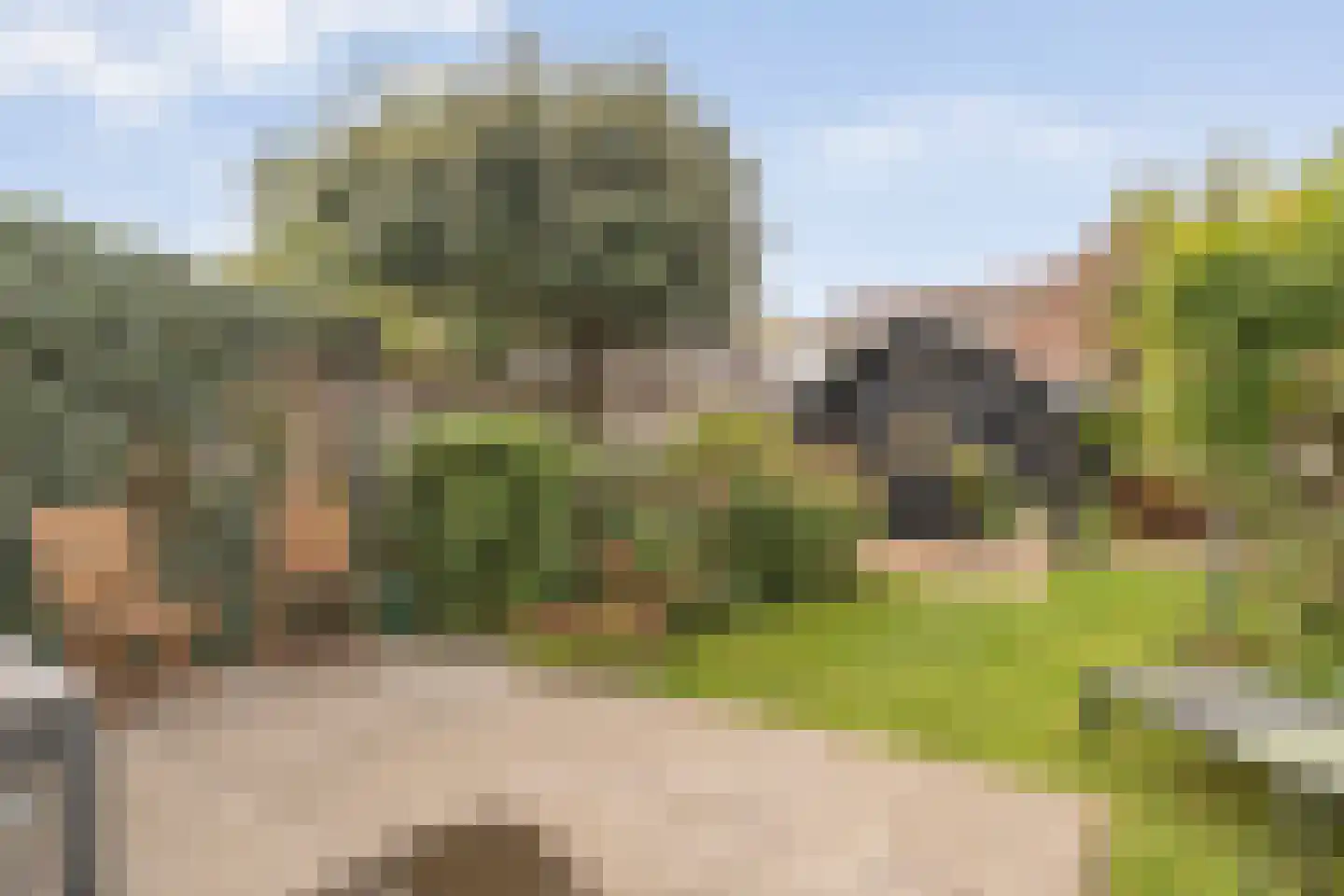 Rozenstraat 15 Zwolle thumbnail 33