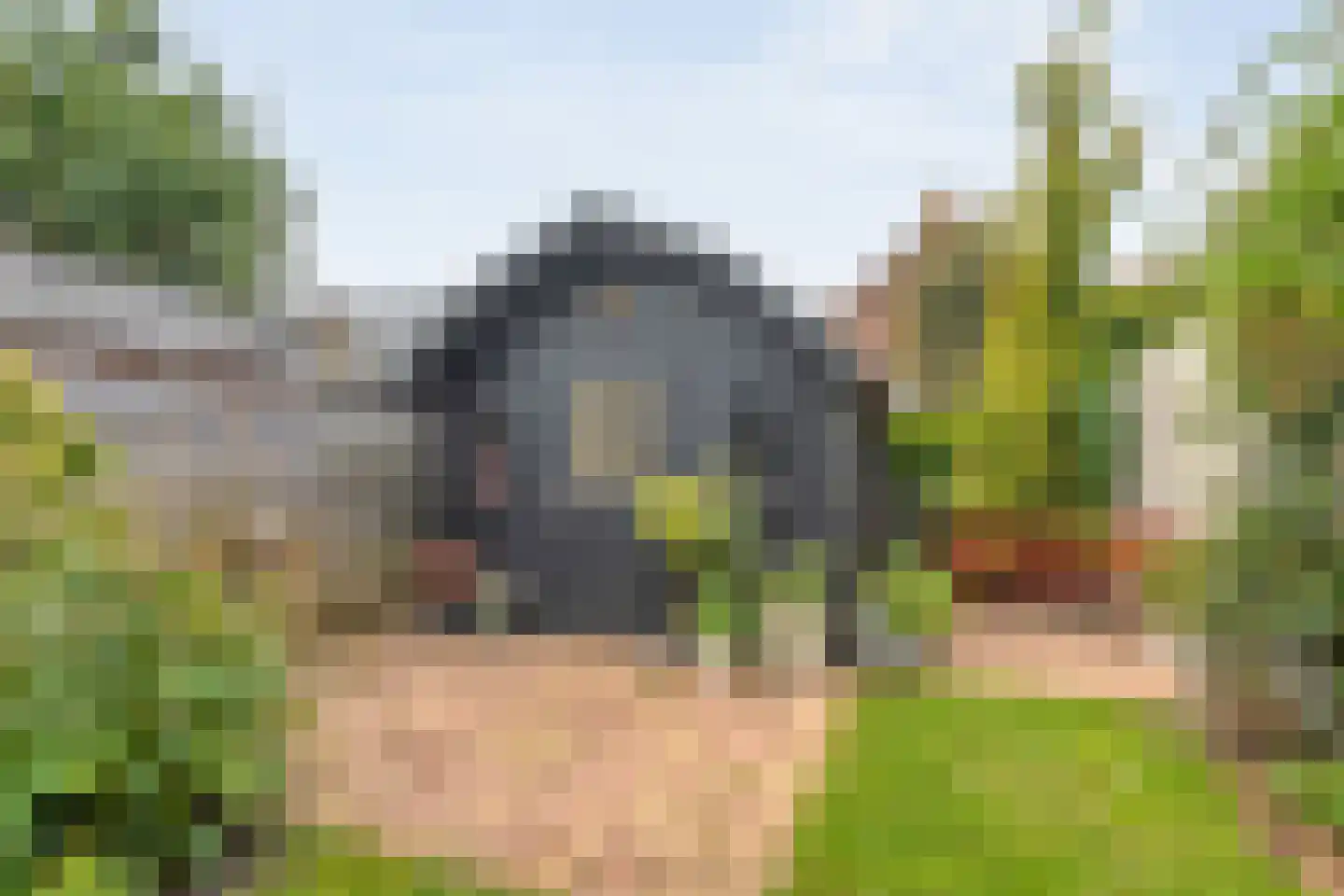 Rozenstraat 15 Zwolle thumbnail 35