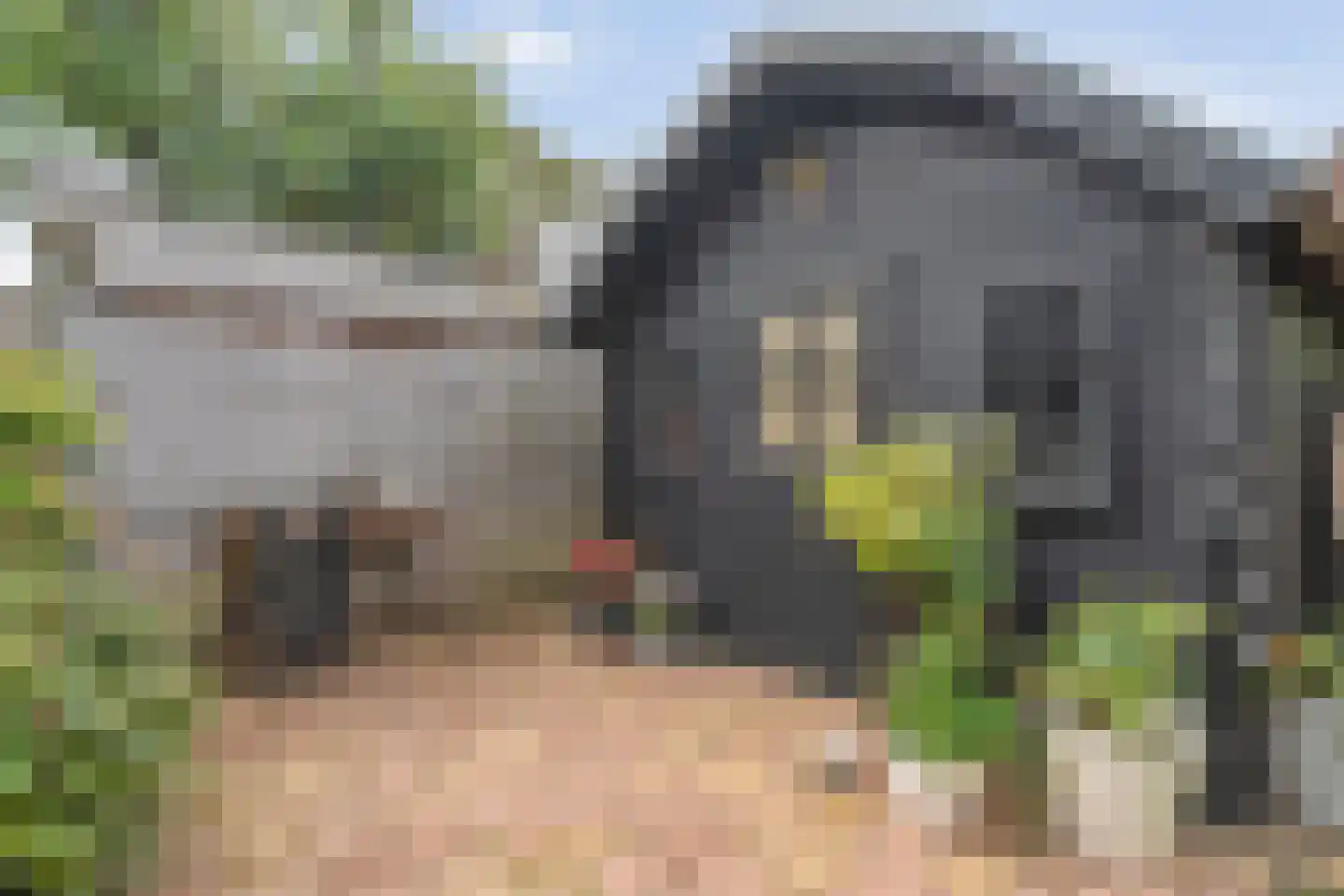 Rozenstraat 15 Zwolle thumbnail 37