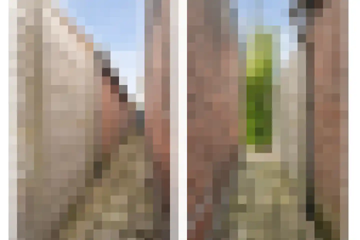Rozenstraat 15 Zwolle thumbnail 39