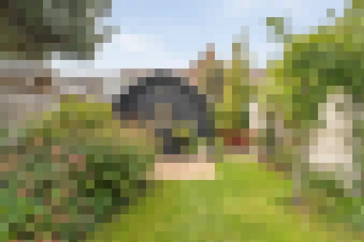 Rozenstraat 15 Zwolle thumbnail 4