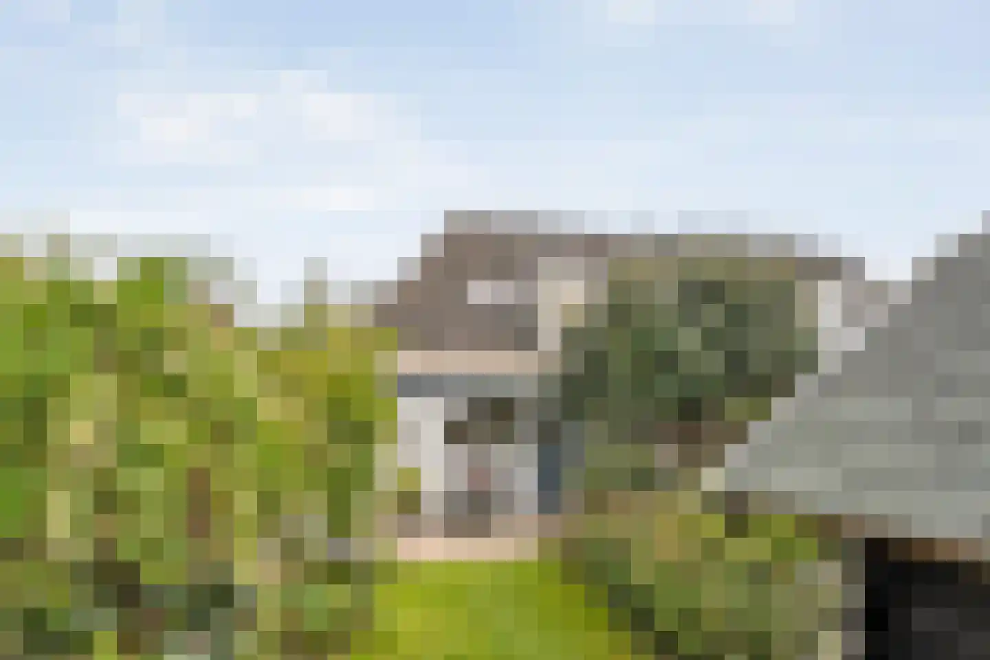 Rozenstraat 15 Zwolle thumbnail 5
