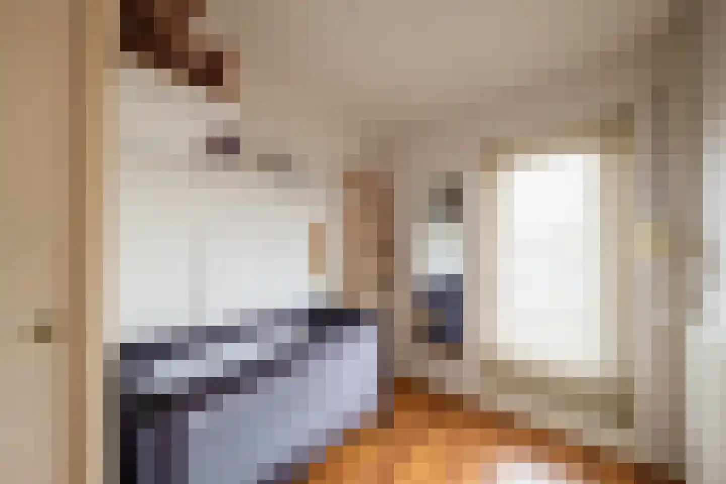 Rozenstraat 16 Goor thumbnail 13
