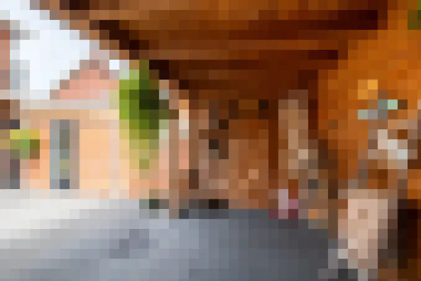 Rozenstraat 16 Goor thumbnail 19
