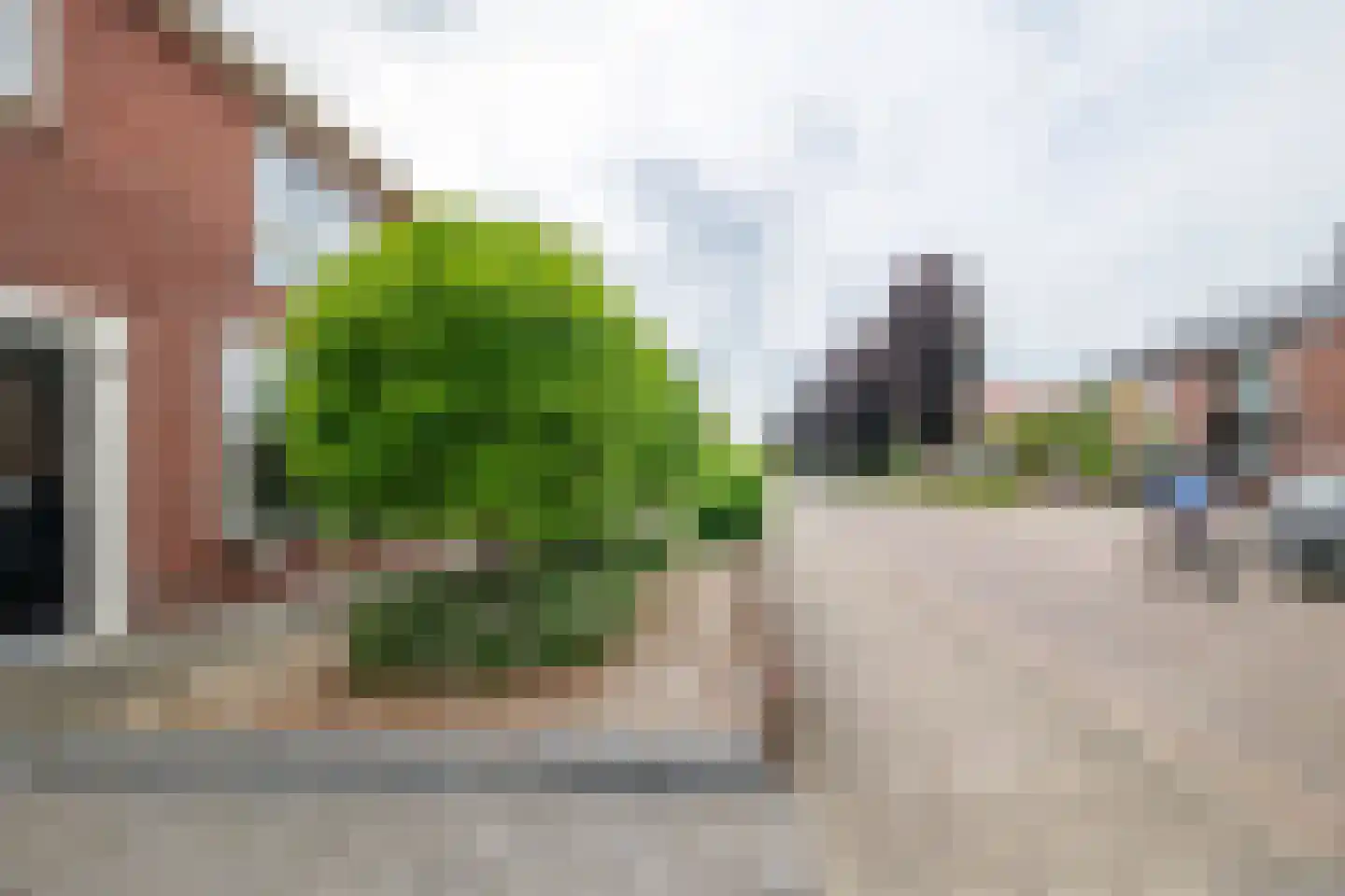 Rozenstraat 16 Goor thumbnail 23