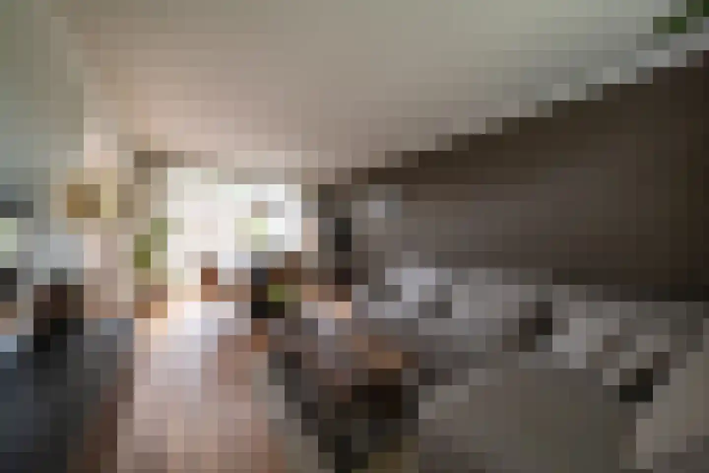 Rozenstraat 16 Goor thumbnail 7