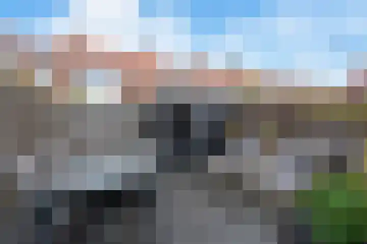 Rozenstraat 16 Koog aan de Zaan thumbnail 16