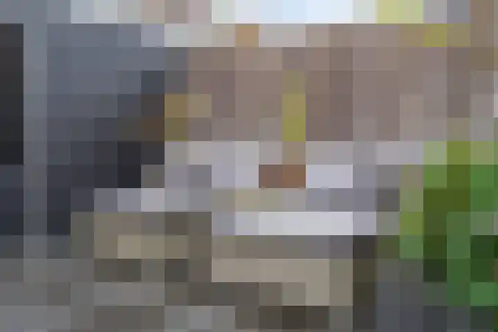 Rozenstraat 16 Koog aan de Zaan thumbnail 17