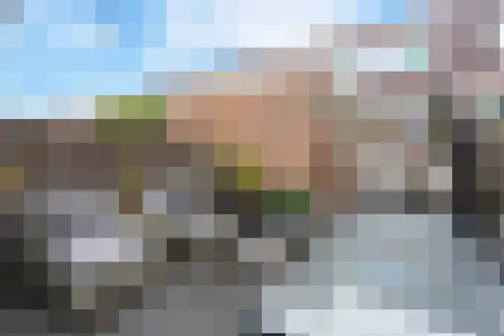 Rozenstraat 16 Koog aan de Zaan thumbnail 19