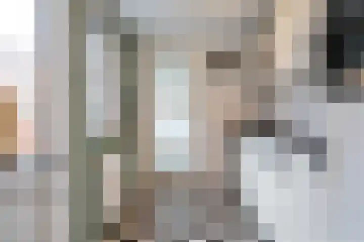 Rozenstraat 16 Koog aan de Zaan thumbnail 8