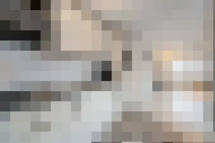 Rozenstraat 16 Koog aan de Zaan thumbnail 9