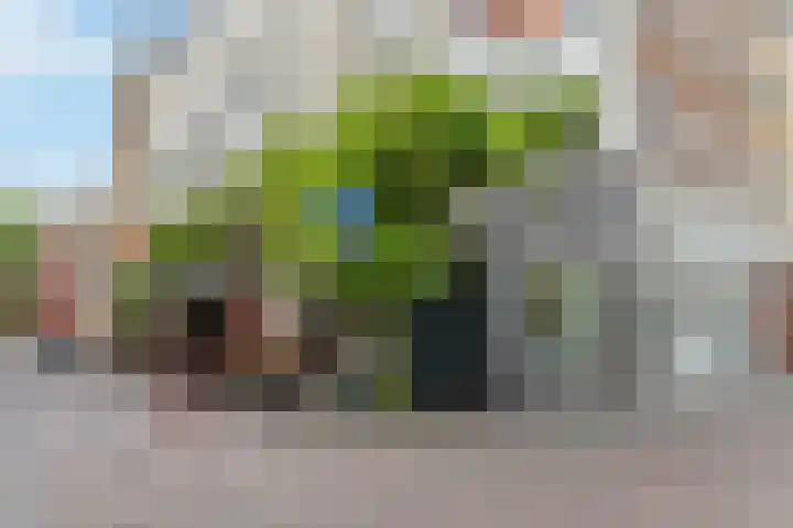 Rozenstraat 16 Utrecht thumbnail 34