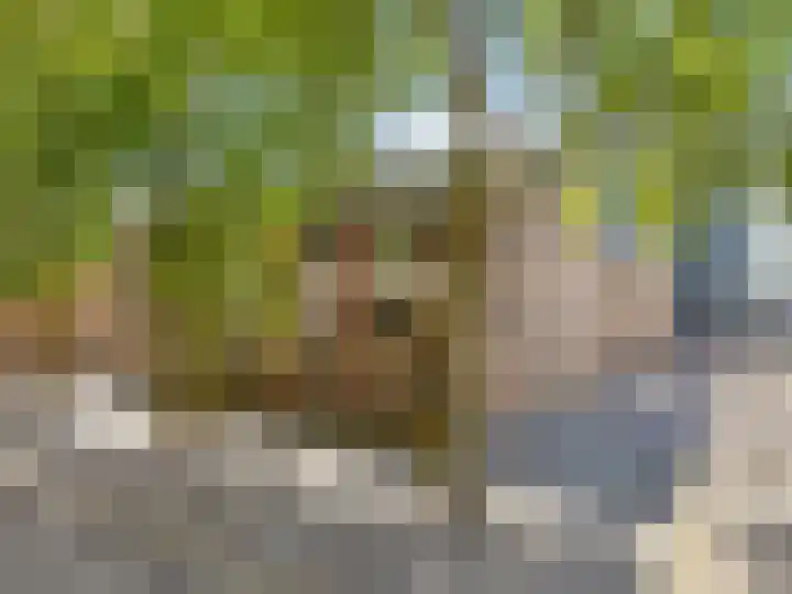 Rozenstraat 16 Utrecht thumbnail 5