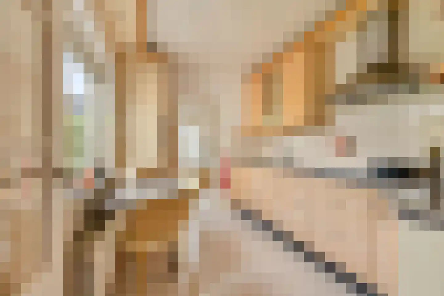 Rozenstraat 17 Didam thumbnail 10