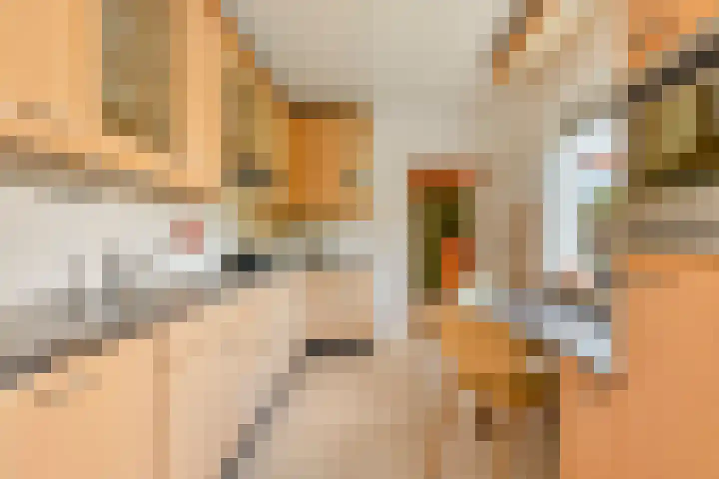 Rozenstraat 17 Didam thumbnail 11