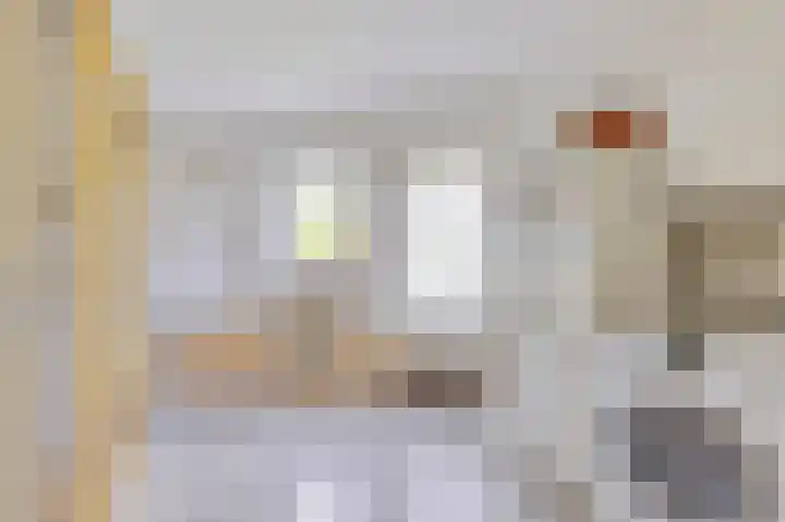 Rozenstraat 17 Didam thumbnail 11