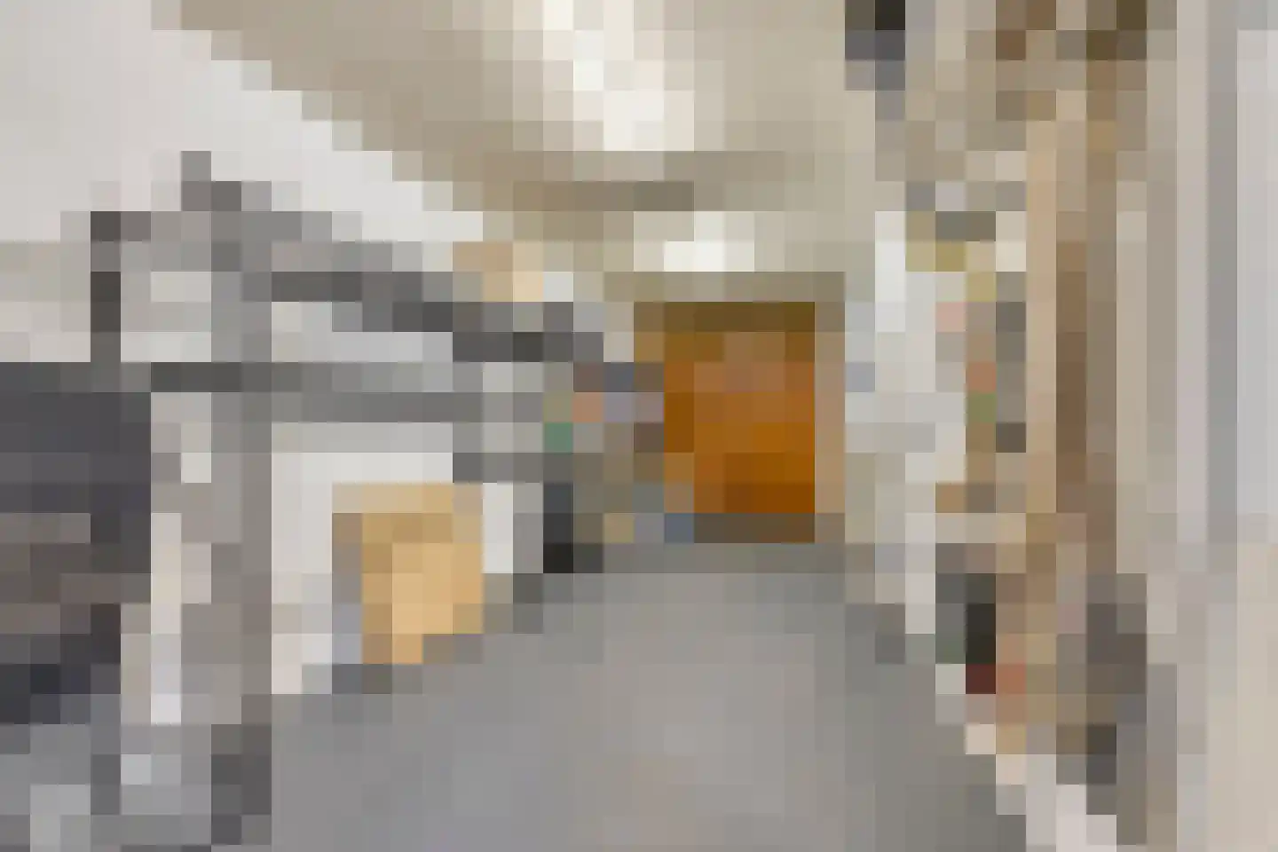 Rozenstraat 17 Didam thumbnail 14