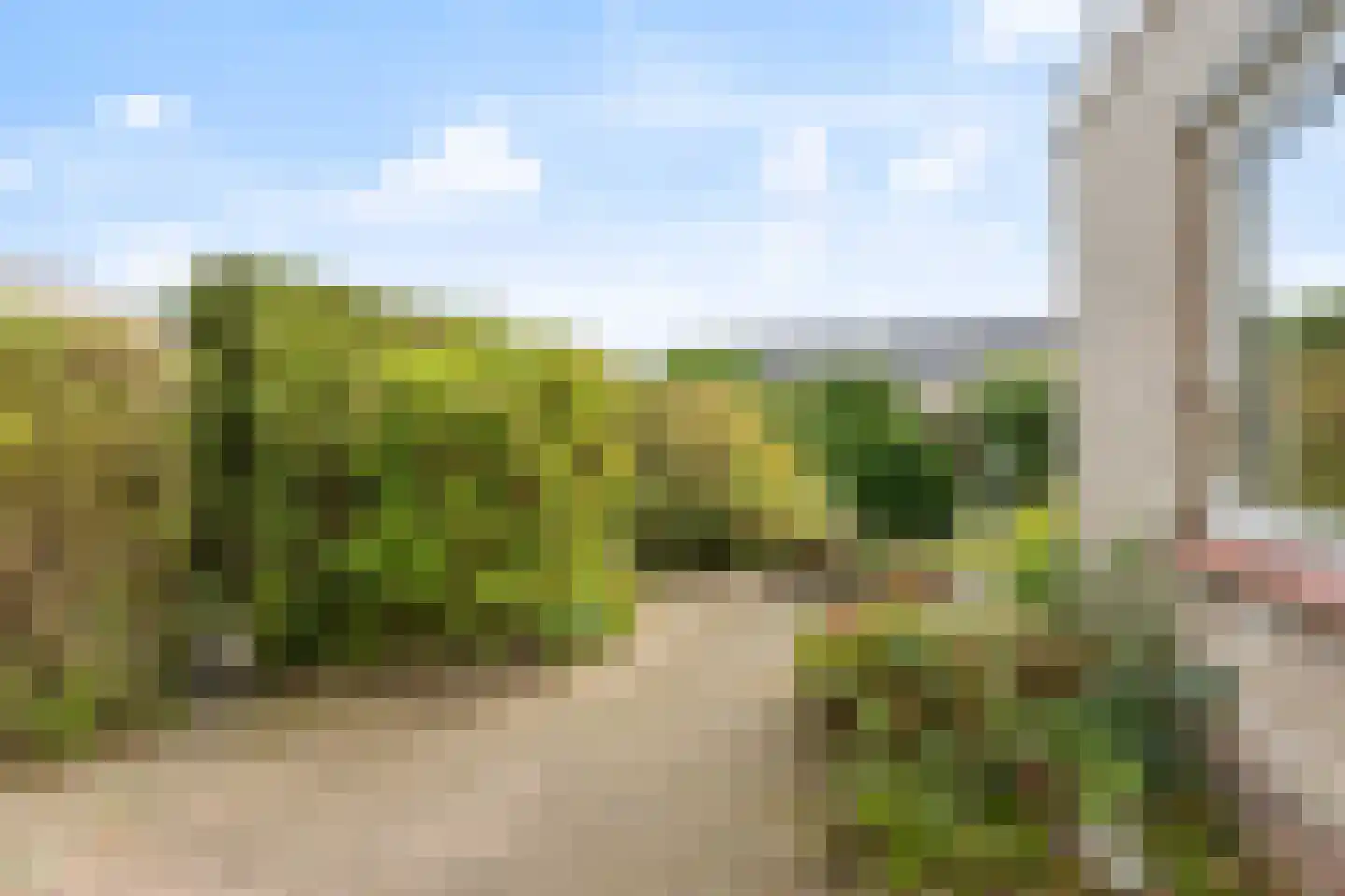 Rozenstraat 17 Didam thumbnail 15