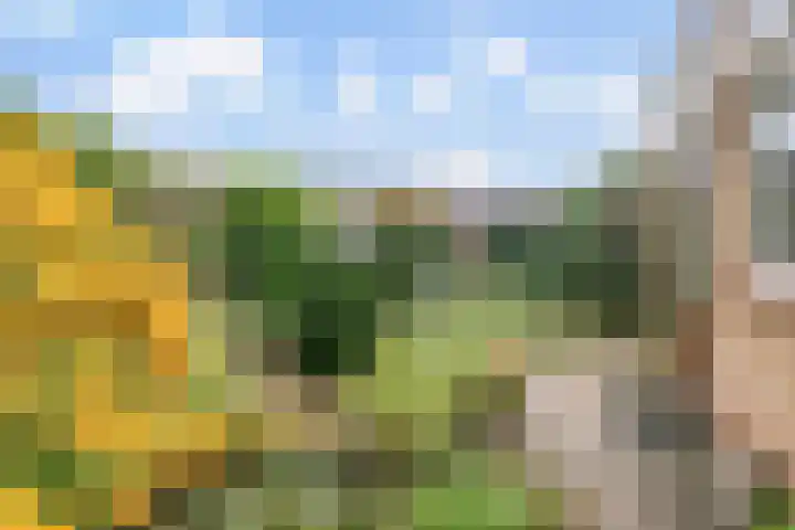 Rozenstraat 17 Didam thumbnail 15