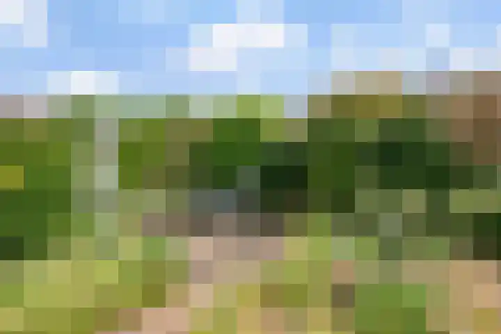 Rozenstraat 17 Didam thumbnail 16