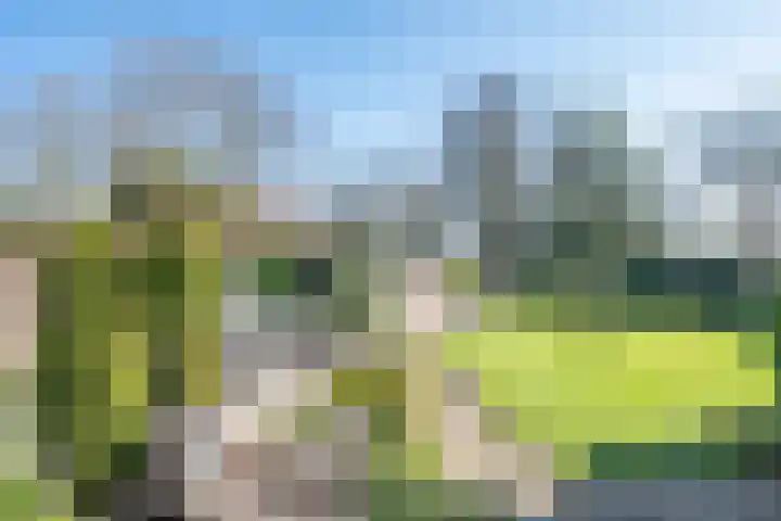 Rozenstraat 17 Didam thumbnail 17