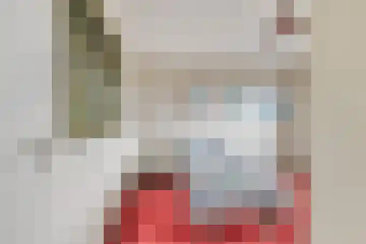 Rozenstraat 17 Didam thumbnail 19