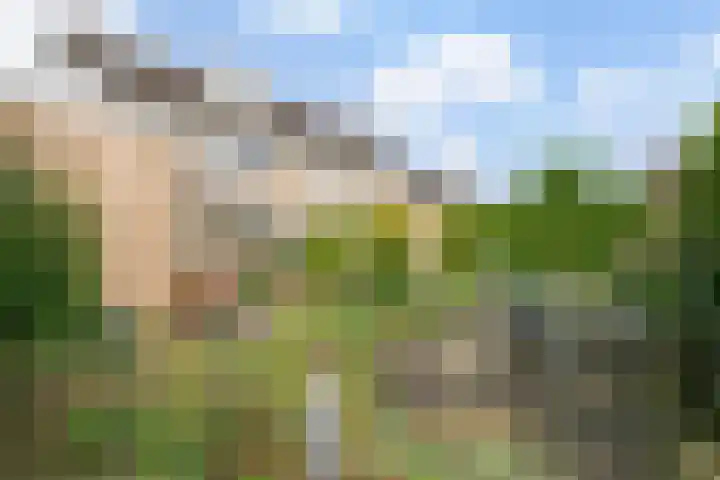 Rozenstraat 17 Didam foto 2