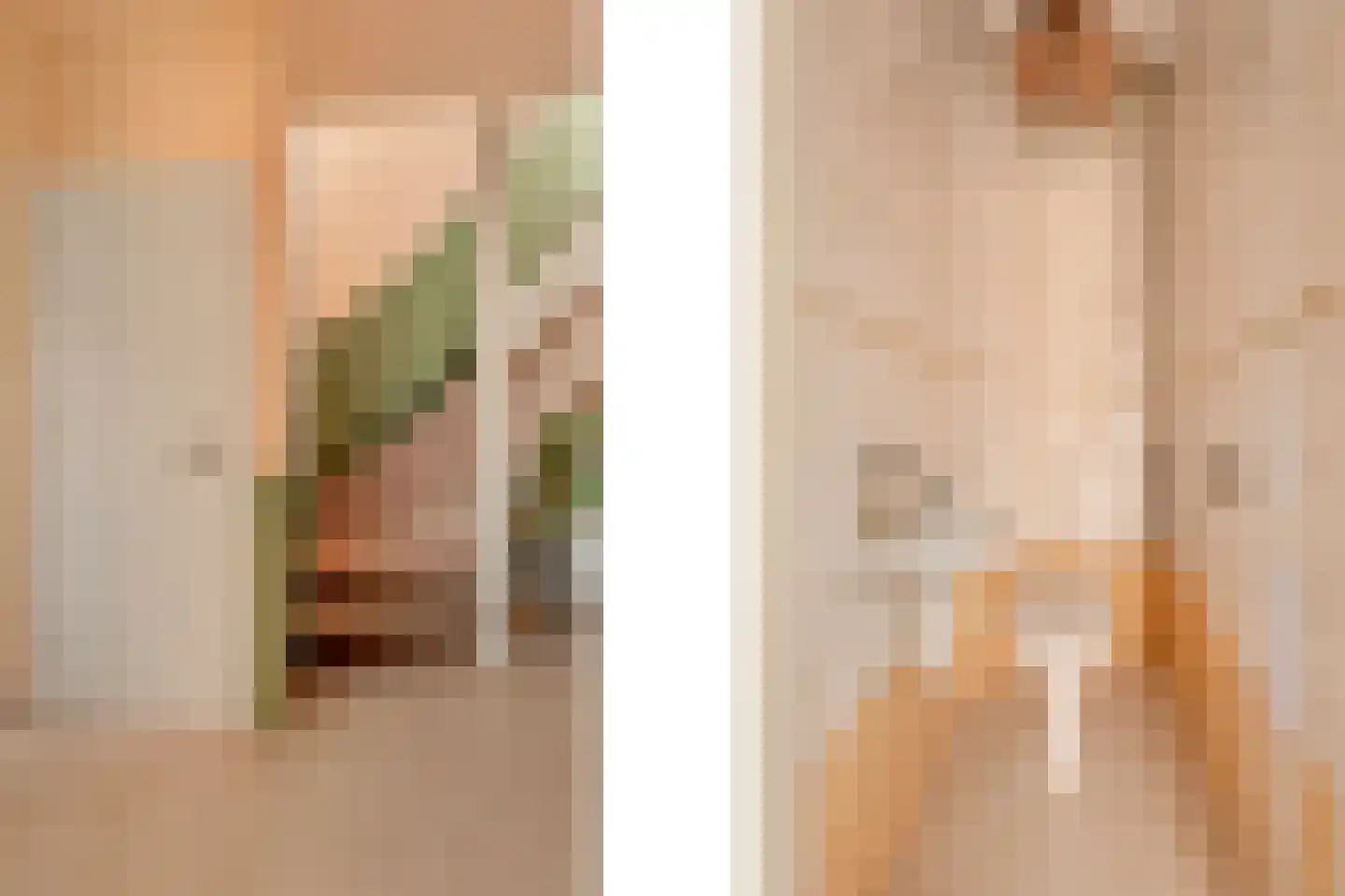 Rozenstraat 17 Didam thumbnail 20