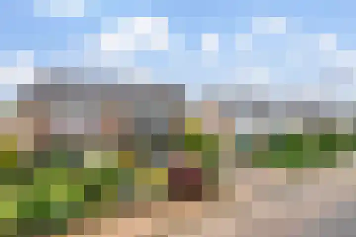 Rozenstraat 17 Didam thumbnail 26