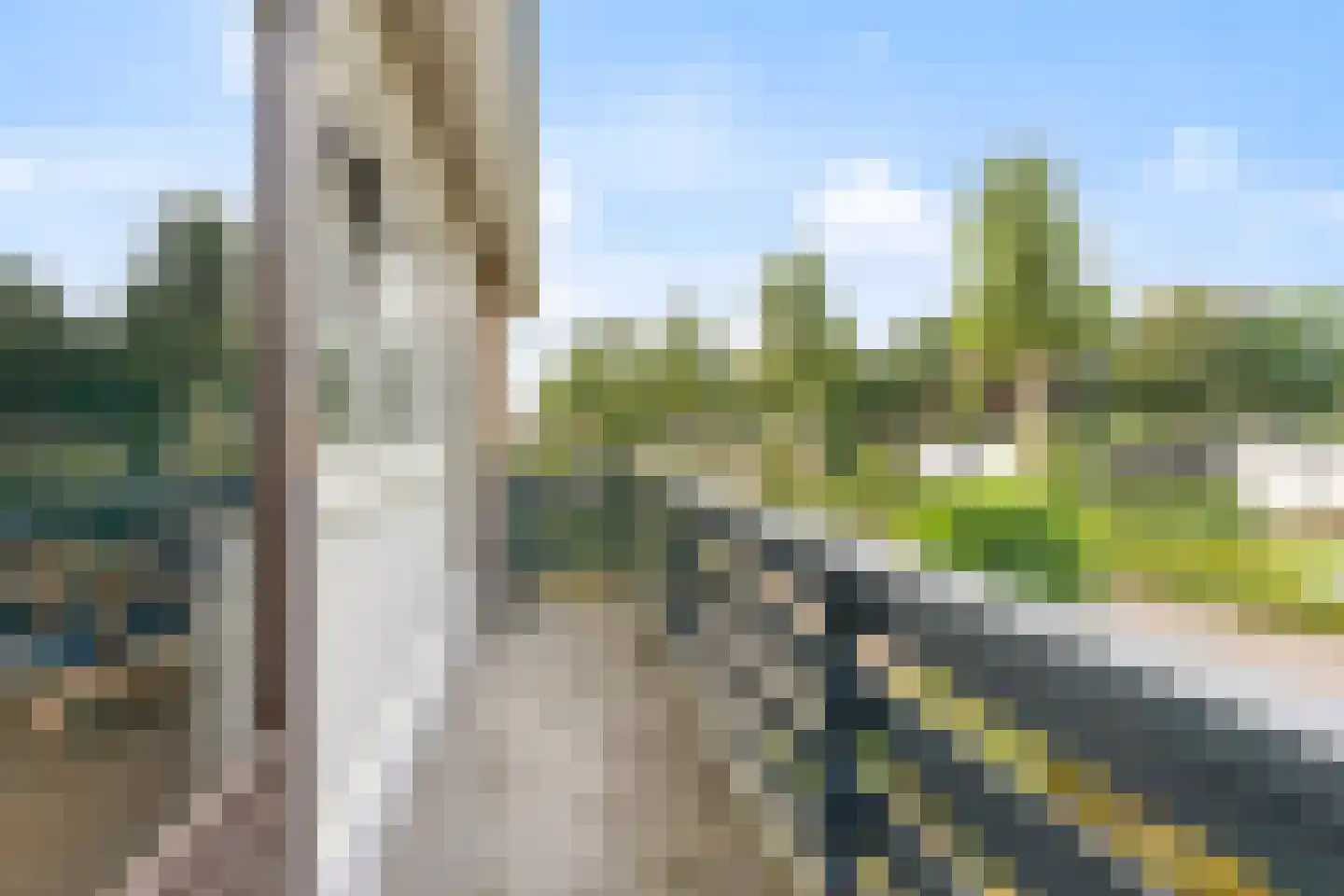 Rozenstraat 17 Didam thumbnail 26