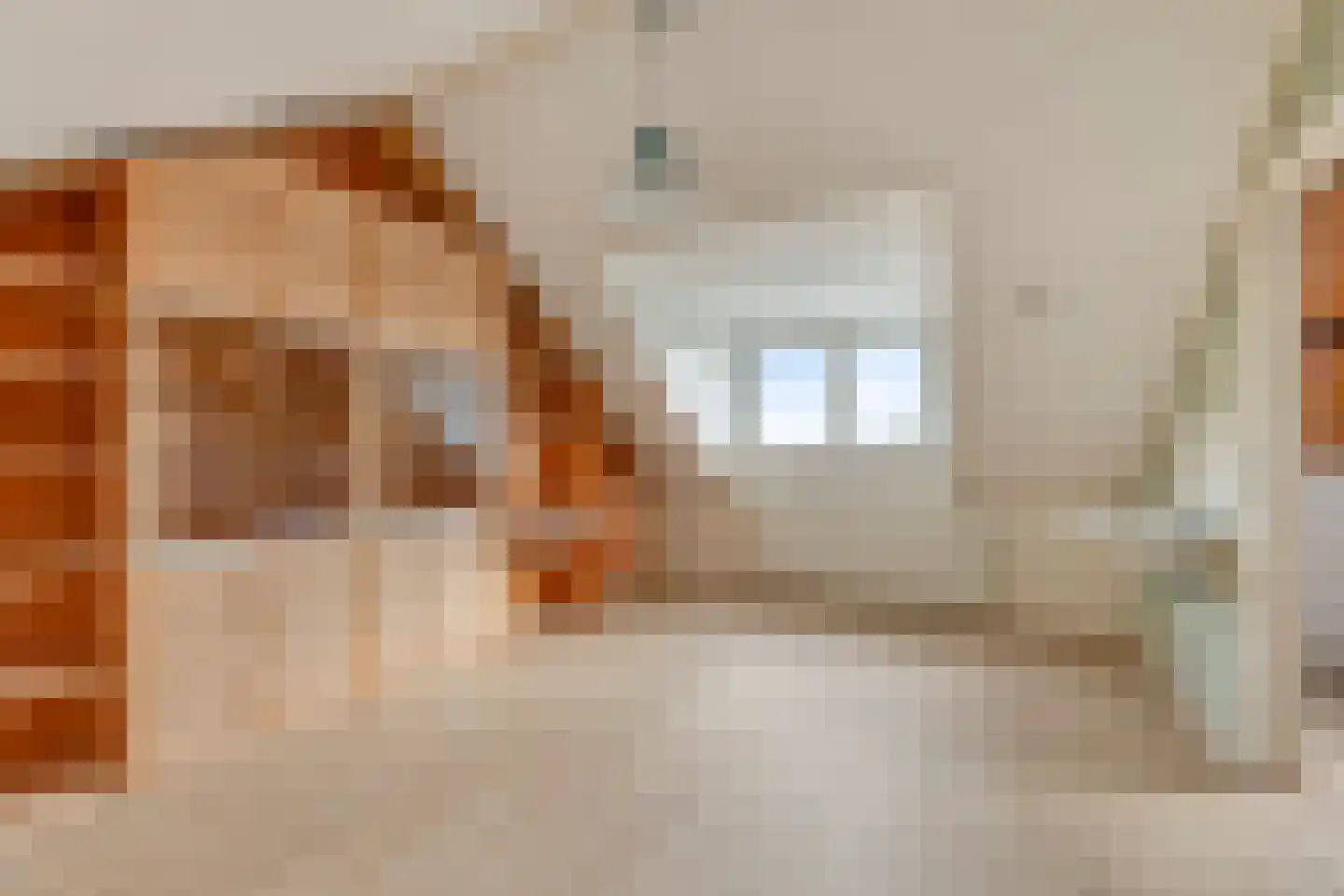 Rozenstraat 17 Didam thumbnail 32