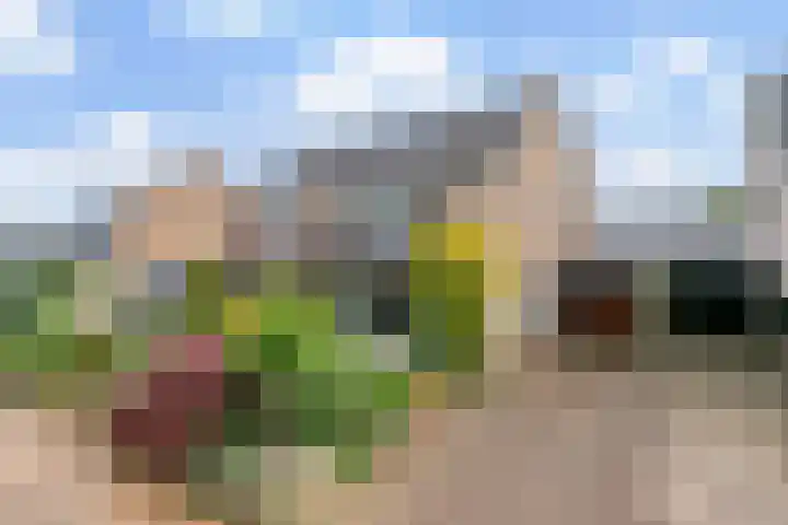 Rozenstraat 17 Didam thumbnail 33