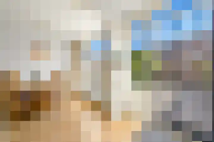Rozenstraat 17 Didam thumbnail 5