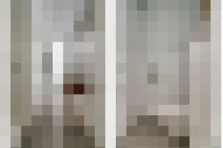 Rozenstraat 17 Putte thumbnail 11