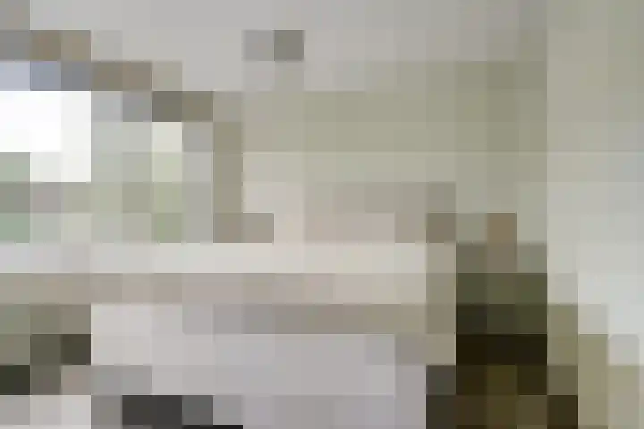 Rozenstraat 17 Putte thumbnail 12
