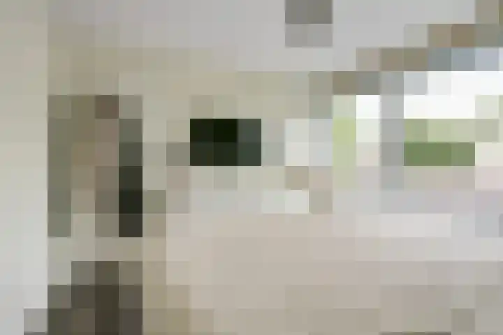 Rozenstraat 17 Putte thumbnail 13