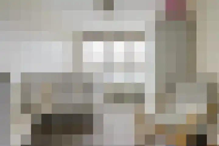 Rozenstraat 17 Putte thumbnail 17
