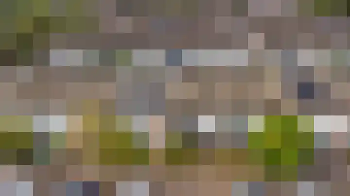 Rozenstraat 17 Putte thumbnail 25