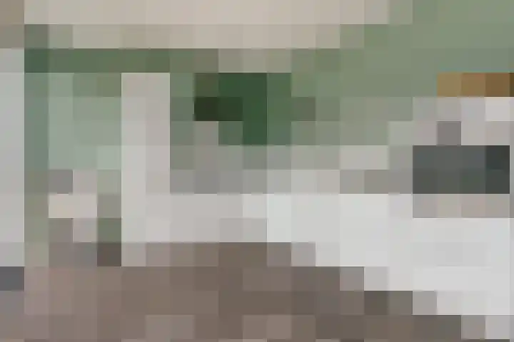 Rozenstraat 17 Putte thumbnail 4