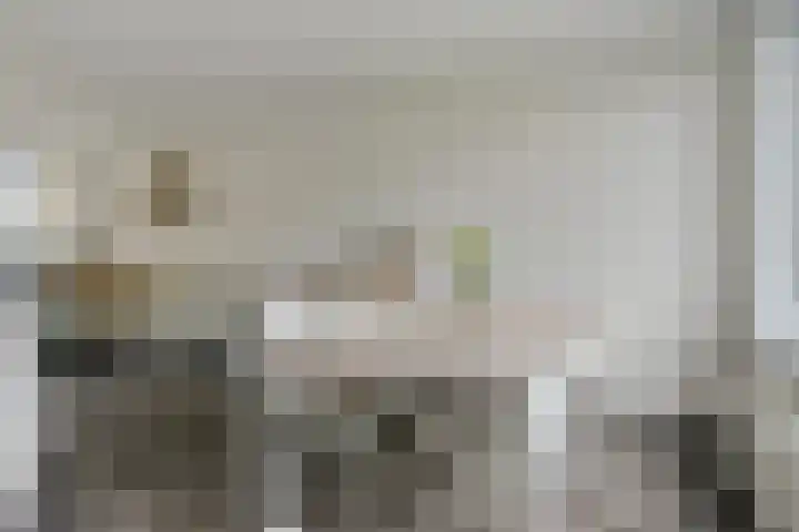 Rozenstraat 17 Putte thumbnail 8