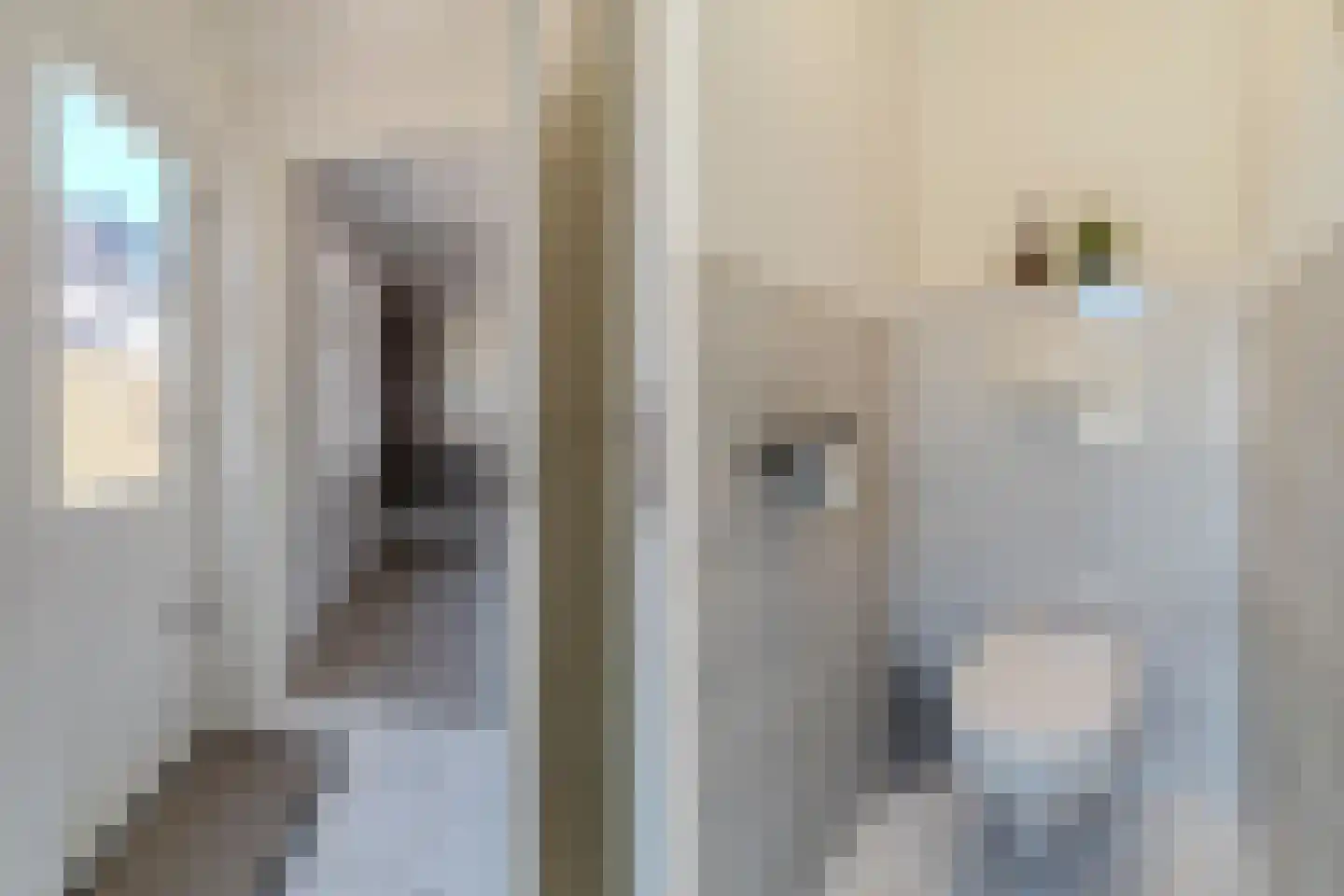 Rozenstraat 17 Tiel thumbnail 18