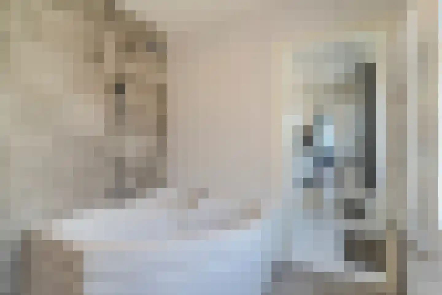 Rozenstraat 17 Tiel thumbnail 20
