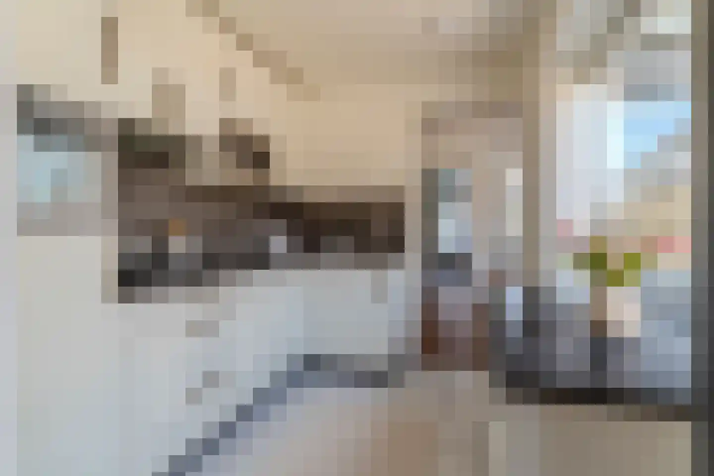Rozenstraat 17 Tiel thumbnail 21