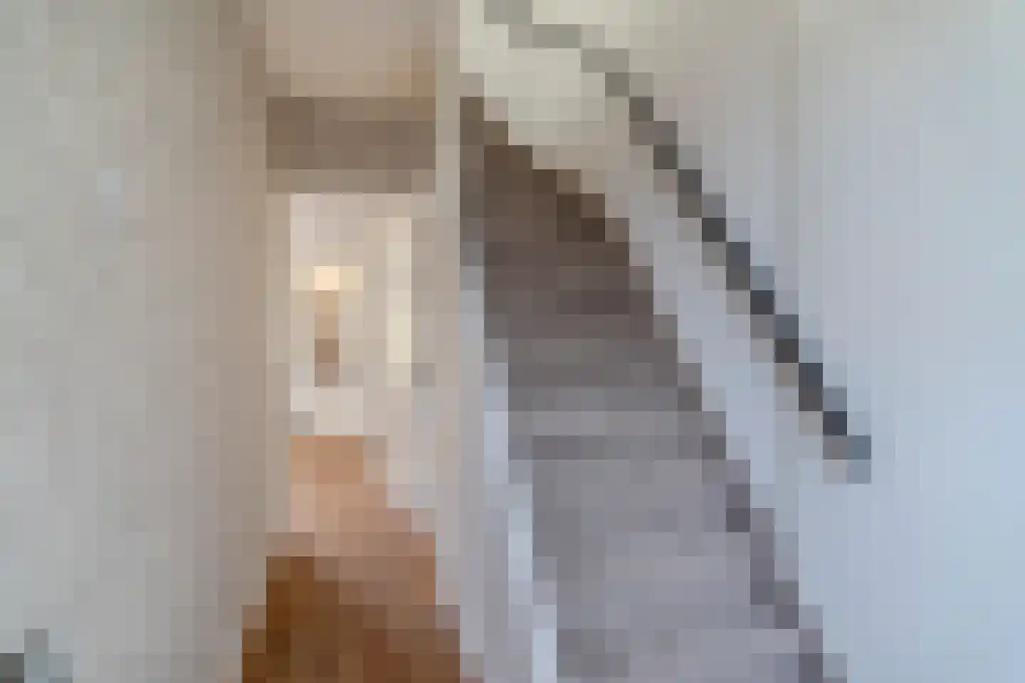Rozenstraat 17 Tiel thumbnail 23