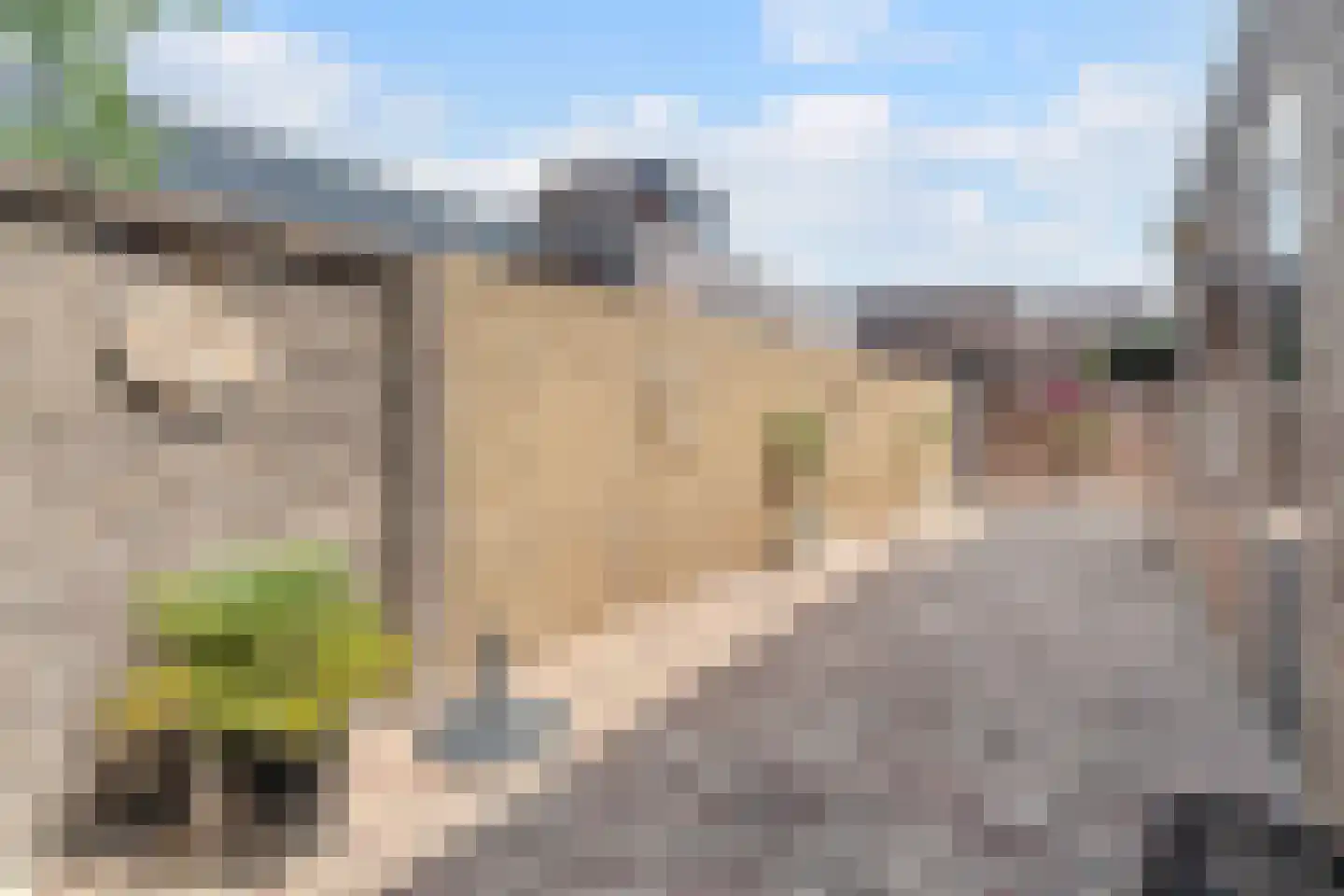 Rozenstraat 17 Tiel thumbnail 36