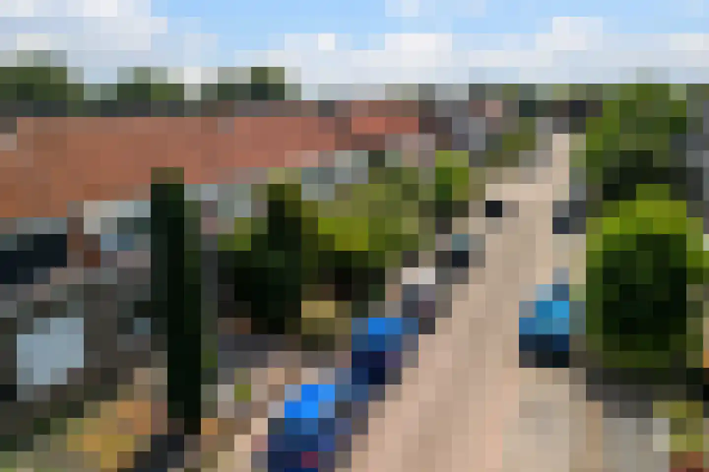 Rozenstraat 17 Tiel thumbnail 45