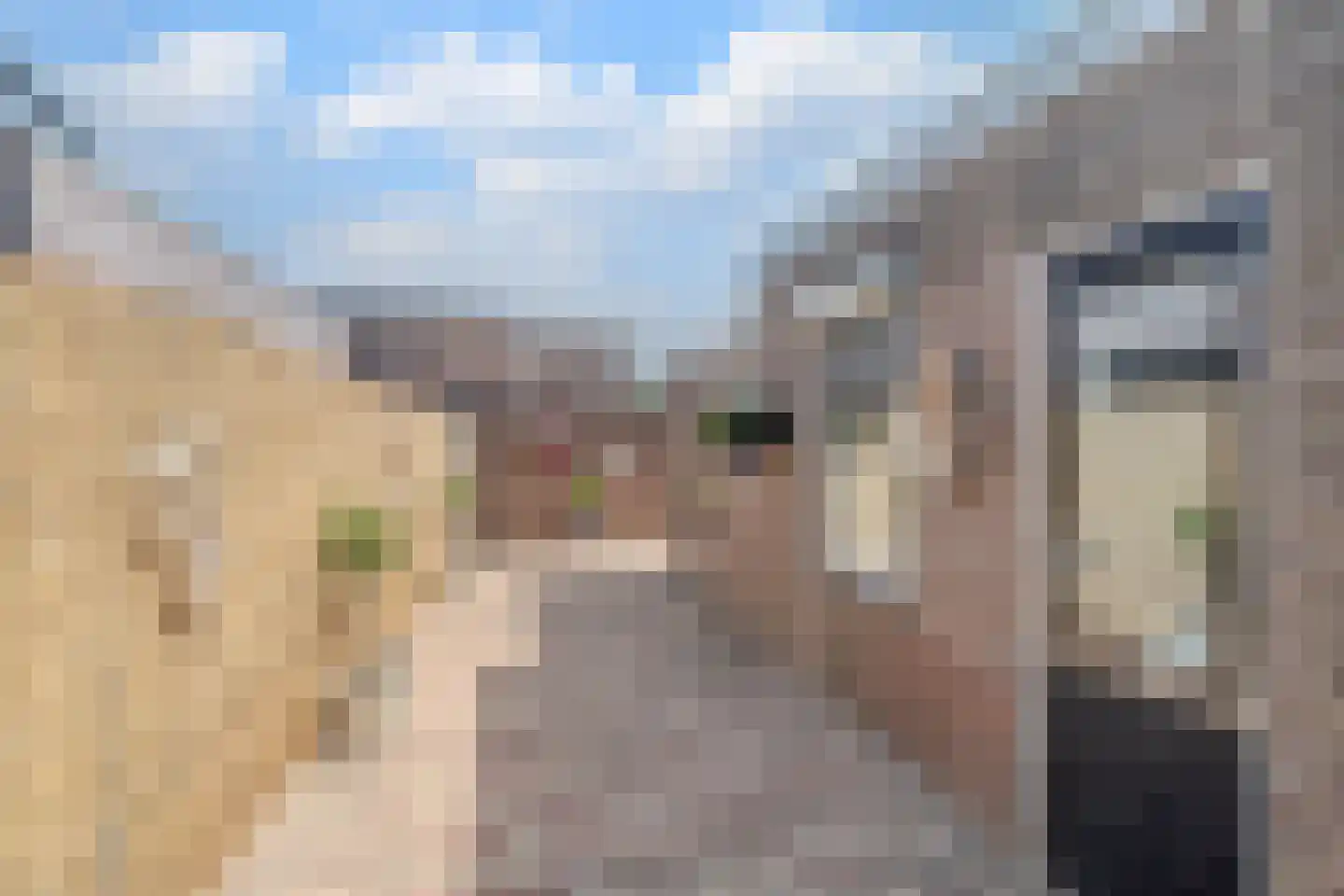 Rozenstraat 17 Tiel thumbnail 5