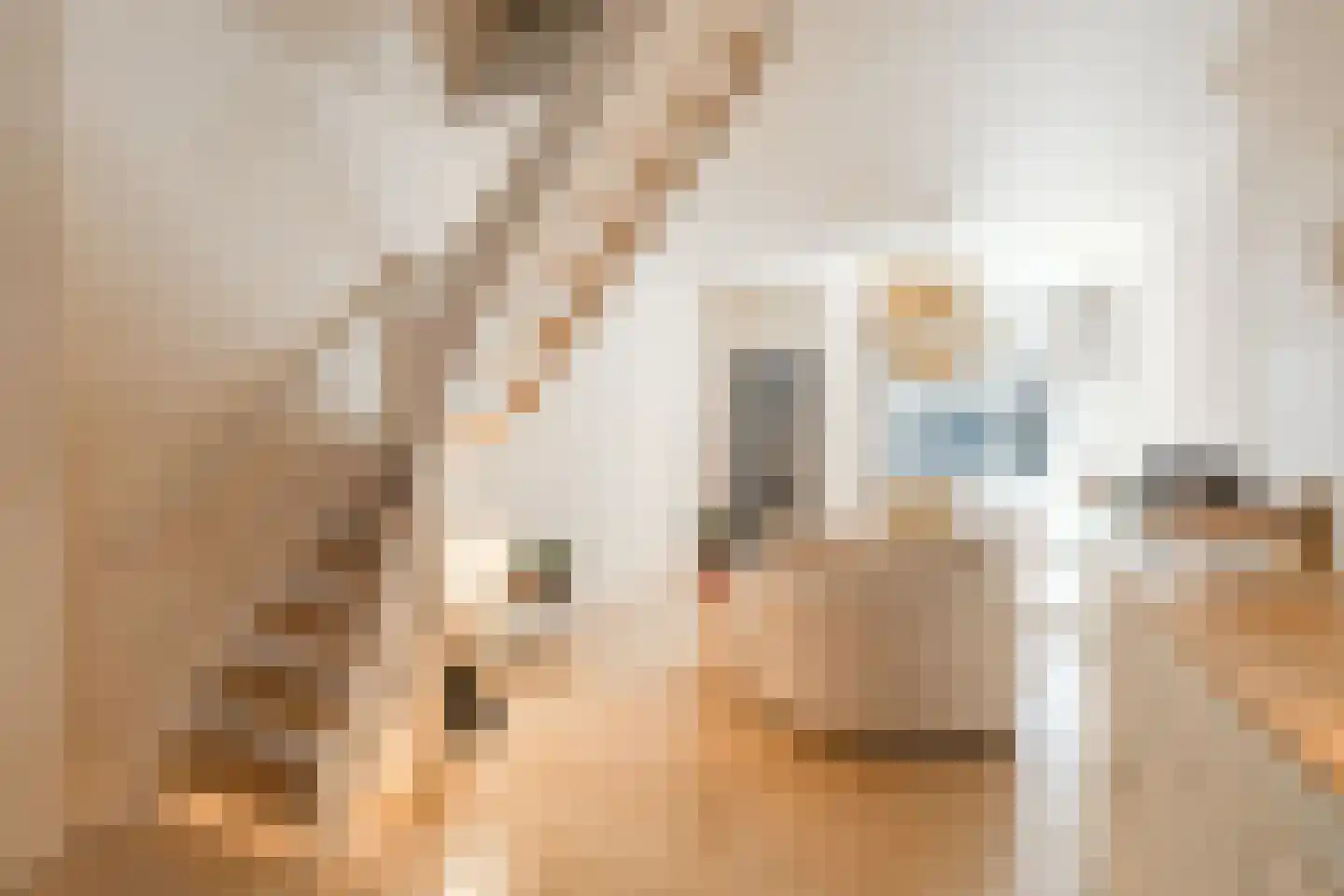 Rozenstraat 176 H Amsterdam thumbnail 9