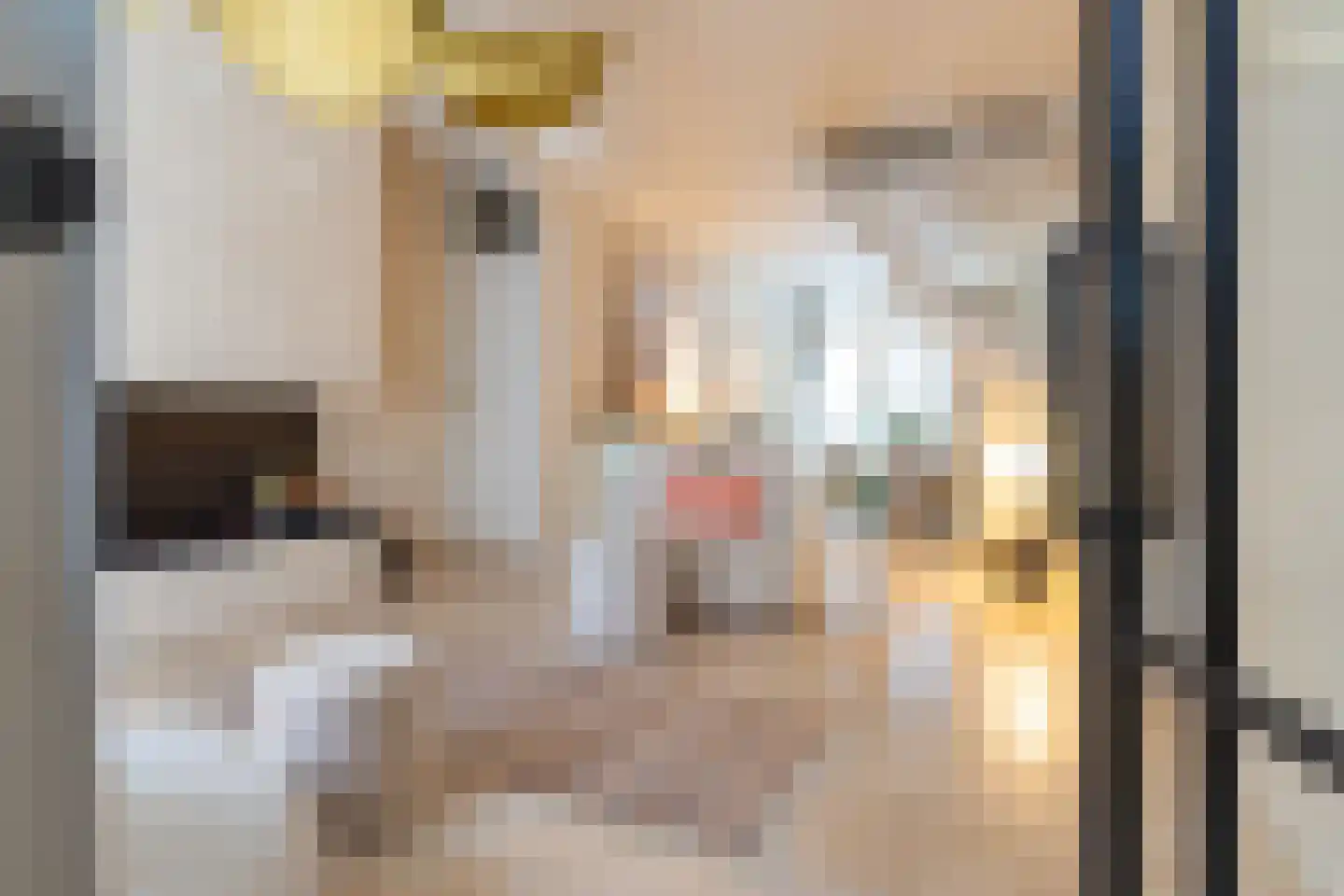 Rozenstraat 176 H Amsterdam thumbnail 9